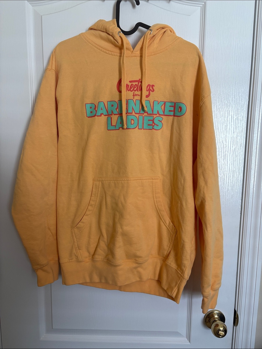 Bare Naked Ladies Last Summer on Earth Tour 2023 Hoodie in Soft Yellow